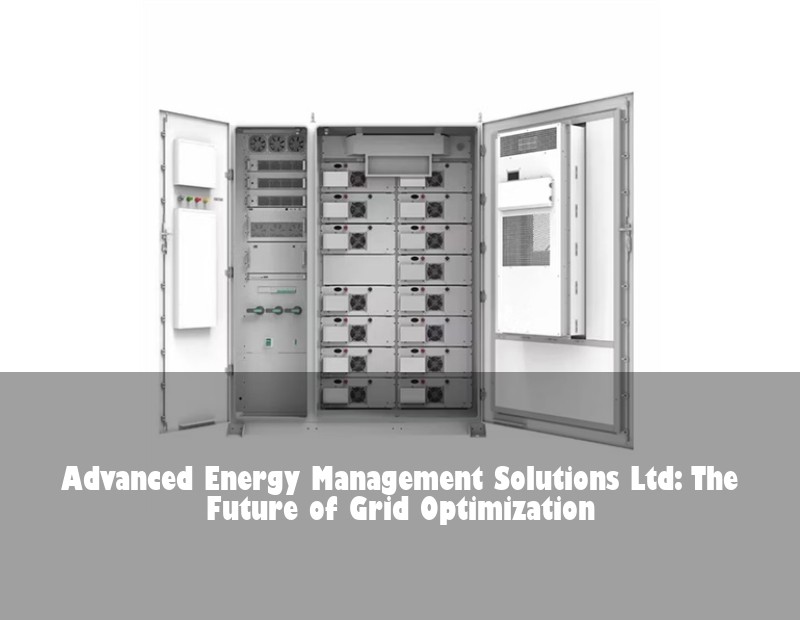 Advanced Energy Management Solutions Ltd: The Future of Grid Optimization