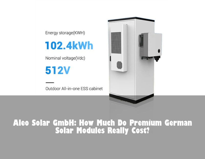 Aleo Solar GmbH: How Much Do Premium German Solar Modules Really Cost?