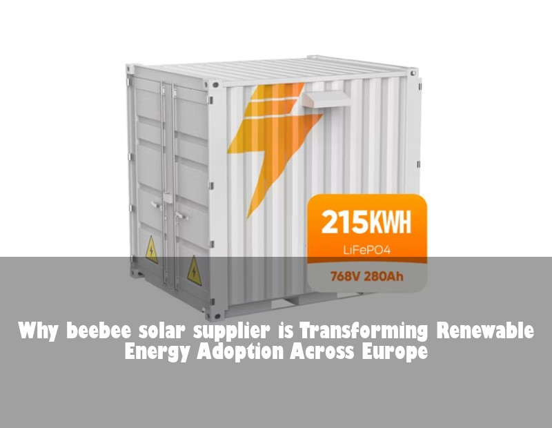 Why beebee solar supplier is Transforming Renewable Energy Adoption Across Europe