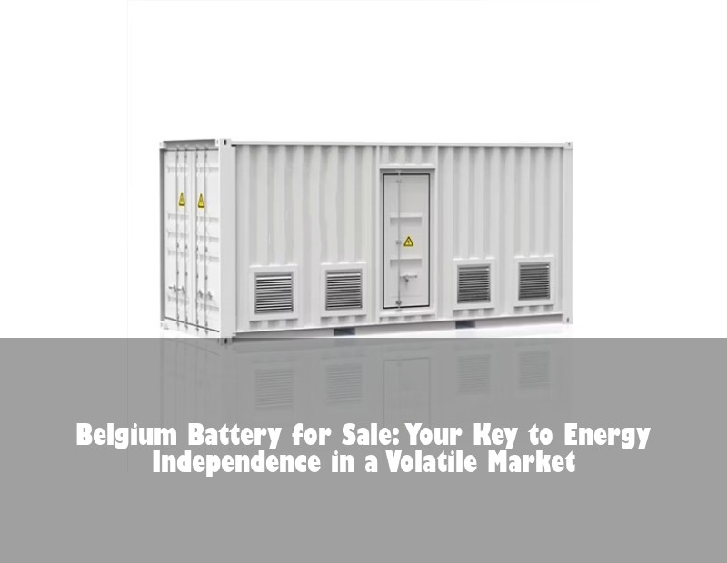 Belgium Battery for Sale: Your Key to Energy Independence in a Volatile Market | HJ Energy Storage News