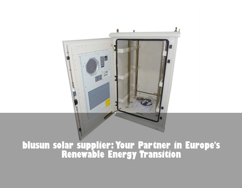 blusun solar supplier: Your Partner in Europe's Renewable Energy Transition
