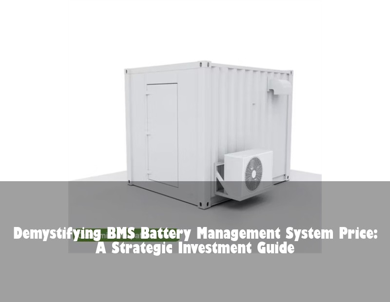 Demystifying BMS Battery Management System Price: A Strategic Investment Guide