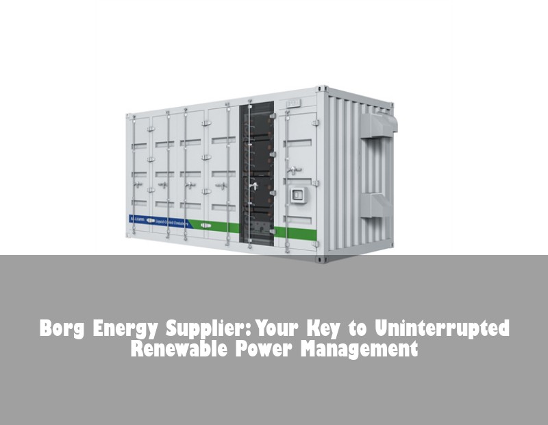 Borg Energy Supplier: Your Key to Uninterrupted Renewable Power Management