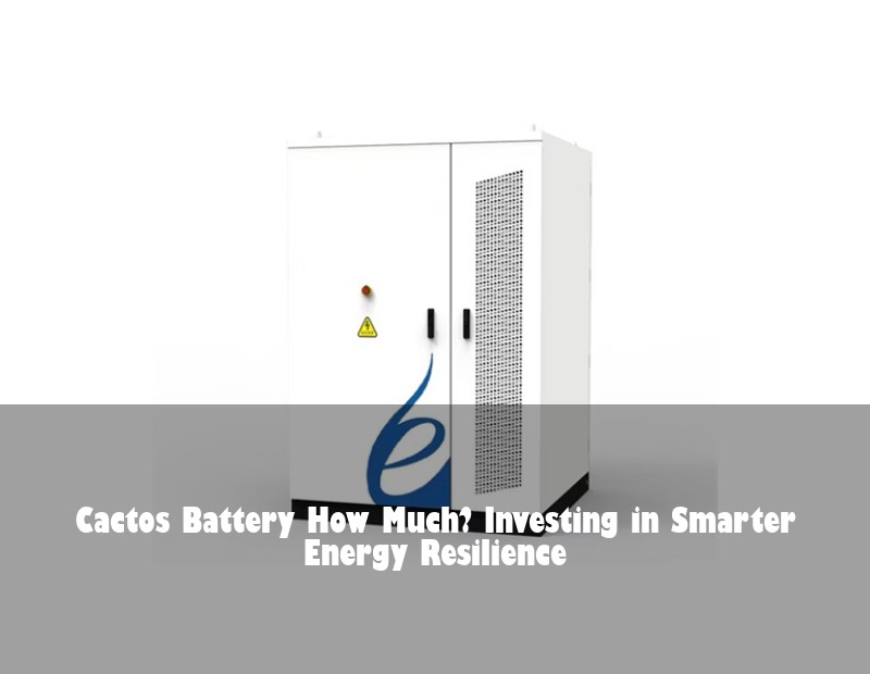 Cactos Battery How Much? Investing in Smarter Energy Resilience