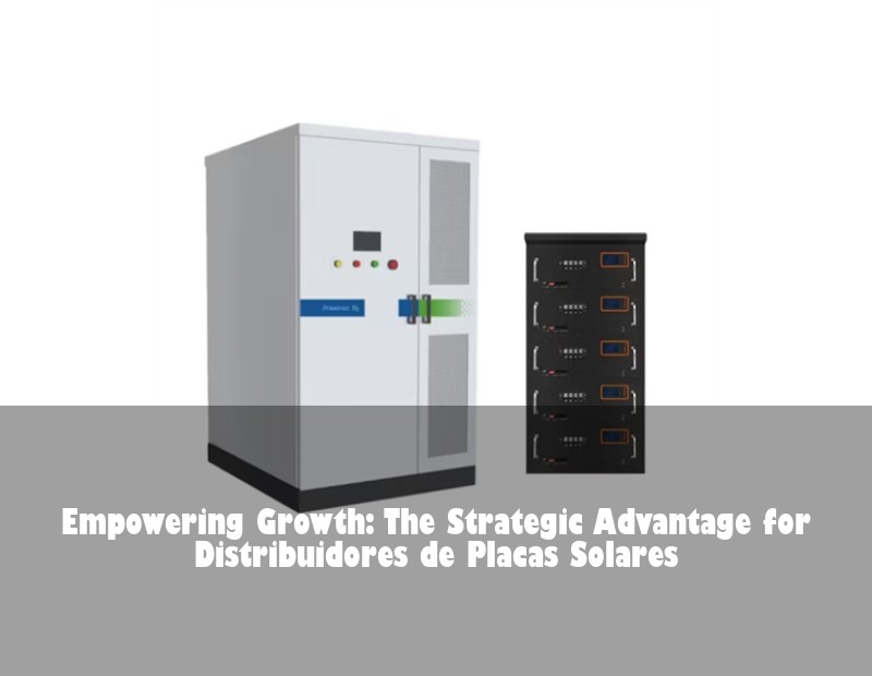 Empowering Growth: The Strategic Advantage for Distribuidores de Placas Solares