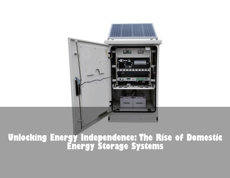 Unlocking Energy Independence: The Rise of Domestic Energy Storage Systems