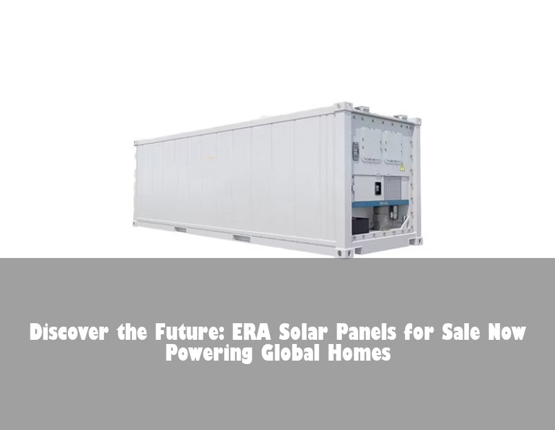 Discover the Future: ERA Solar Panels for Sale Now Powering Global Homes