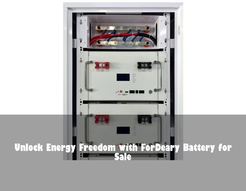 Unlock Energy Freedom with ForDeary Battery for Sale