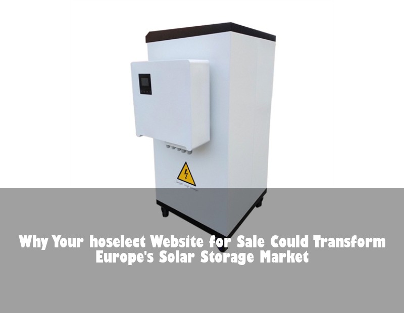 Why Your hoselect Website for Sale Could Transform Europe's Solar Storage Market