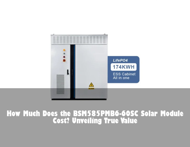 How Much Does the BSM585PMB6-60SC Solar Module Cost? Unveiling True Value