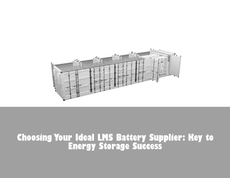 Choosing Your Ideal LMS Battery Supplier: Key to Energy Storage Success