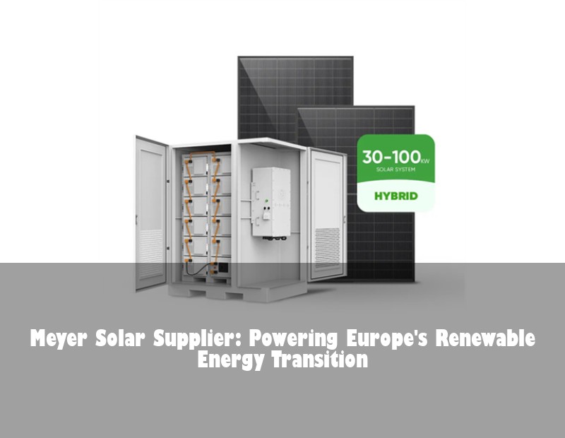 Meyer Solar Supplier: Powering Europe's Renewable Energy Transition