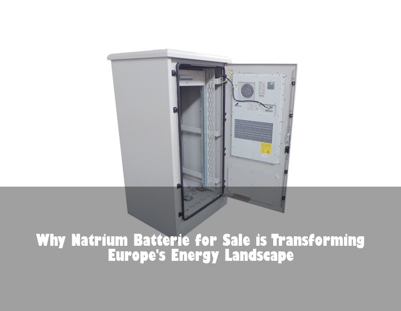 Why Natrium Batterie for Sale is Transforming Europe's Energy Landscape