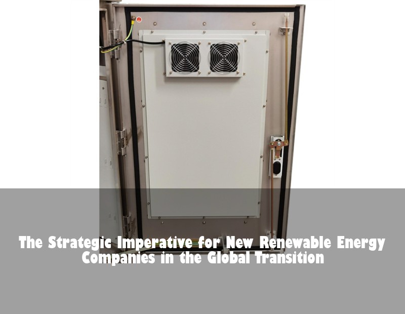 The Strategic Imperative for New Renewable Energy Companies in the Global Transition