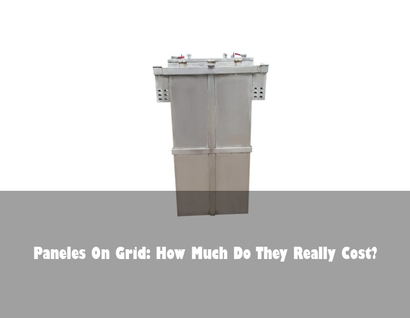 Paneles On Grid: How Much Do They Really Cost?