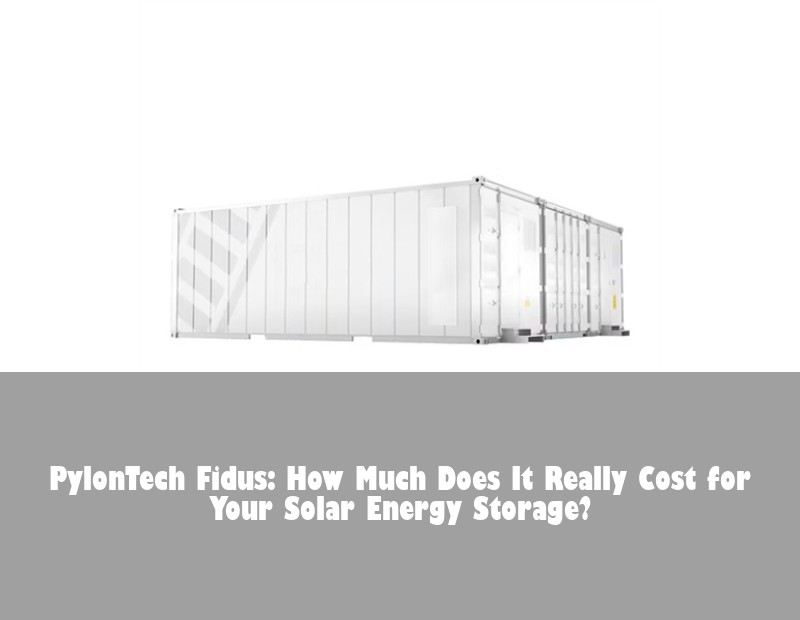 PylonTech Fidus: How Much Does It Really Cost for Your Solar Energy Storage? | HJ Energy Storage News