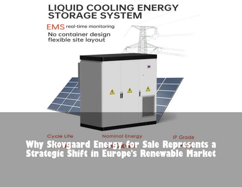 Why Skovgaard Energy for Sale Represents a Strategic Shift in Europe's Renewable Market
