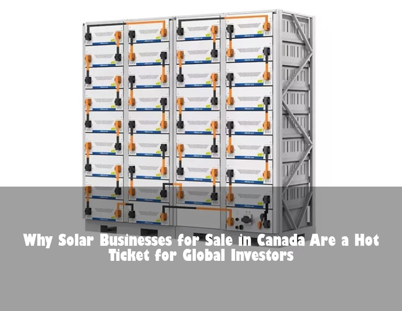 Why Solar Businesses for Sale in Canada Are a Hot Ticket for Global Investors