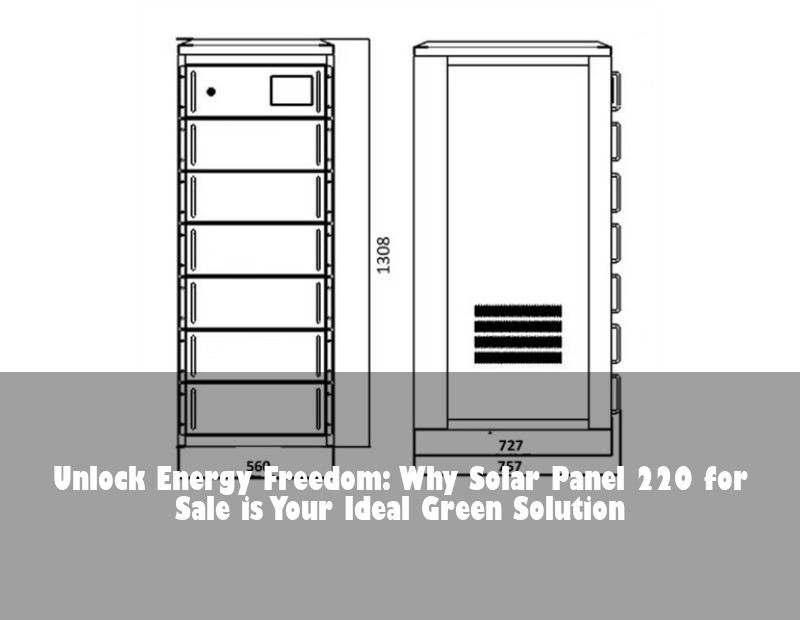 Unlock Energy Freedom: Why Solar Panel 220 for Sale is Your Ideal Green Solution