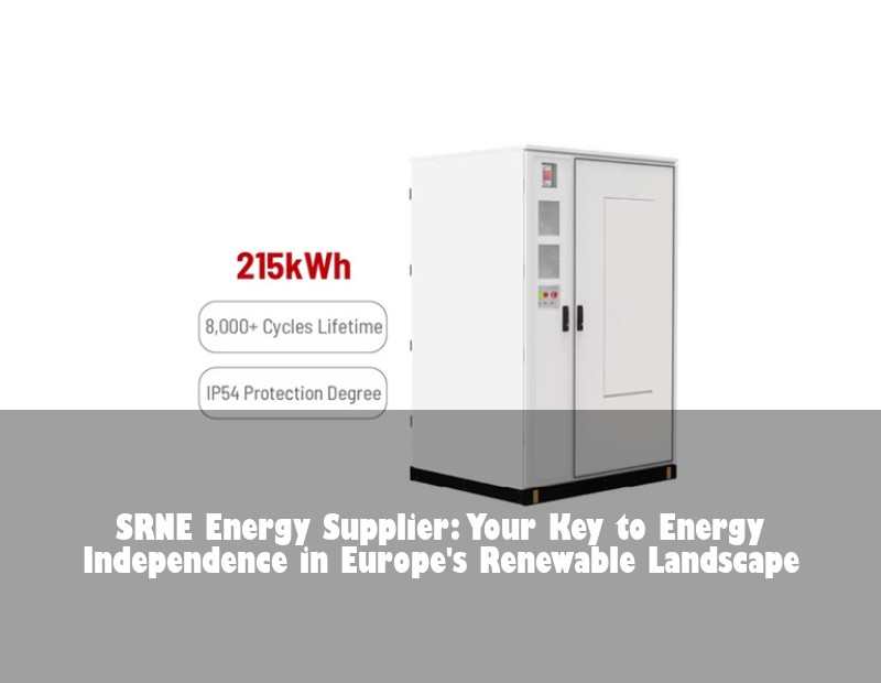 SRNE Energy Supplier: Your Key to Energy Independence in Europe's Renewable Landscape