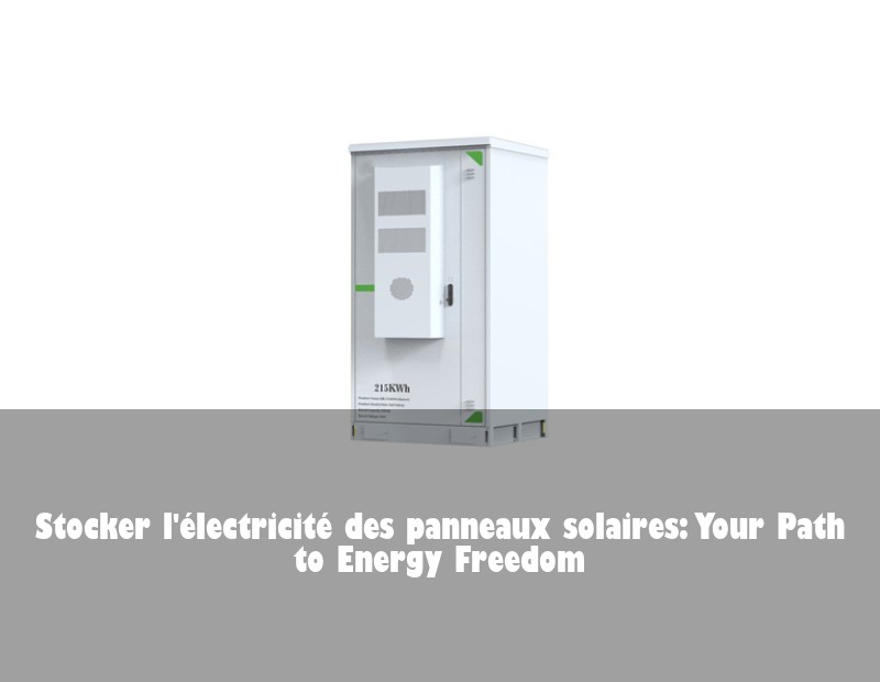 Stocker l'électricité des panneaux solaires: Your Path to Energy Freedom