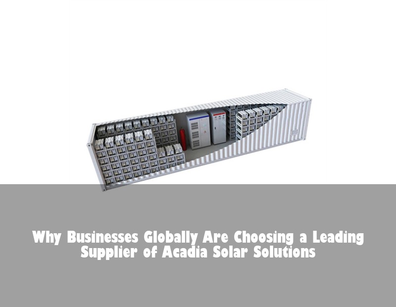 Why Businesses Globally Are Choosing a Leading Supplier of Acadia Solar Solutions