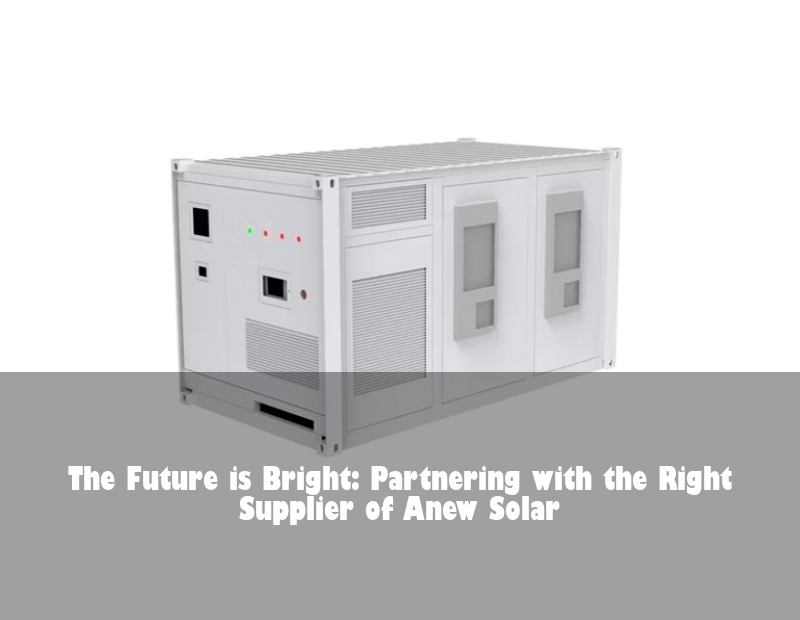 The Future is Bright: Partnering with the Right Supplier of Anew Solar
