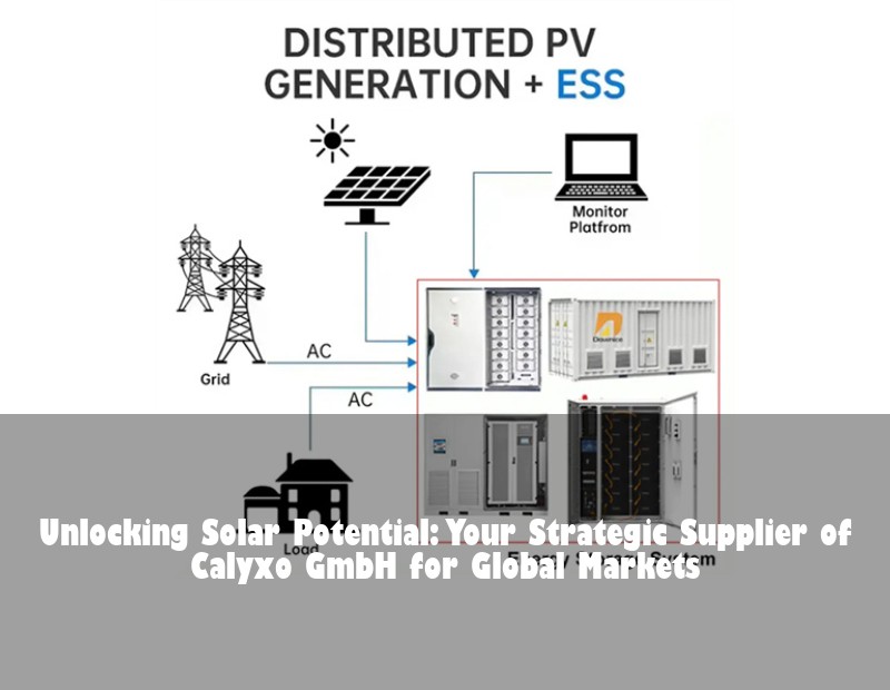 Unlocking Solar Potential: Your Strategic Supplier of Calyxo GmbH for Global Markets