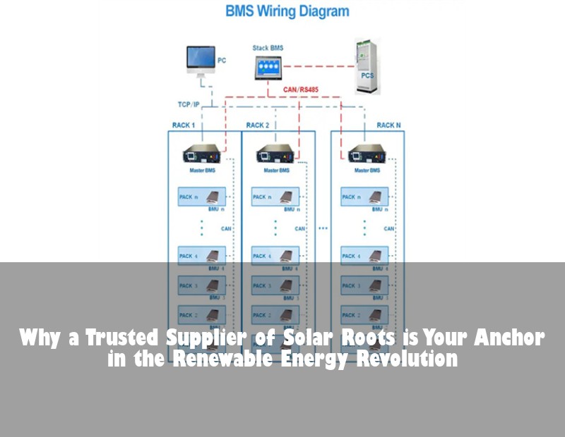 Why a Trusted Supplier of Solar Roots is Your Anchor in the Renewable Energy Revolution