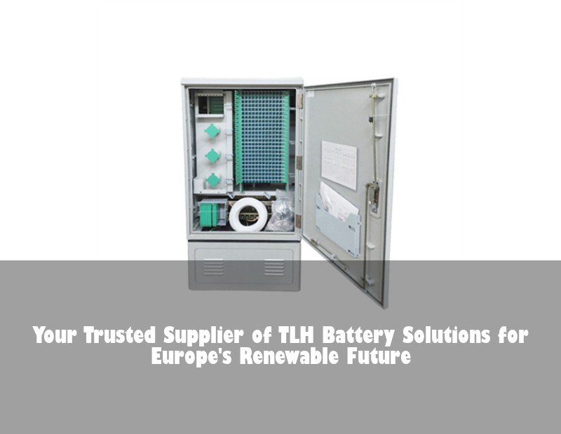 Your Trusted Supplier of TLH Battery Solutions for Europe's Renewable Future