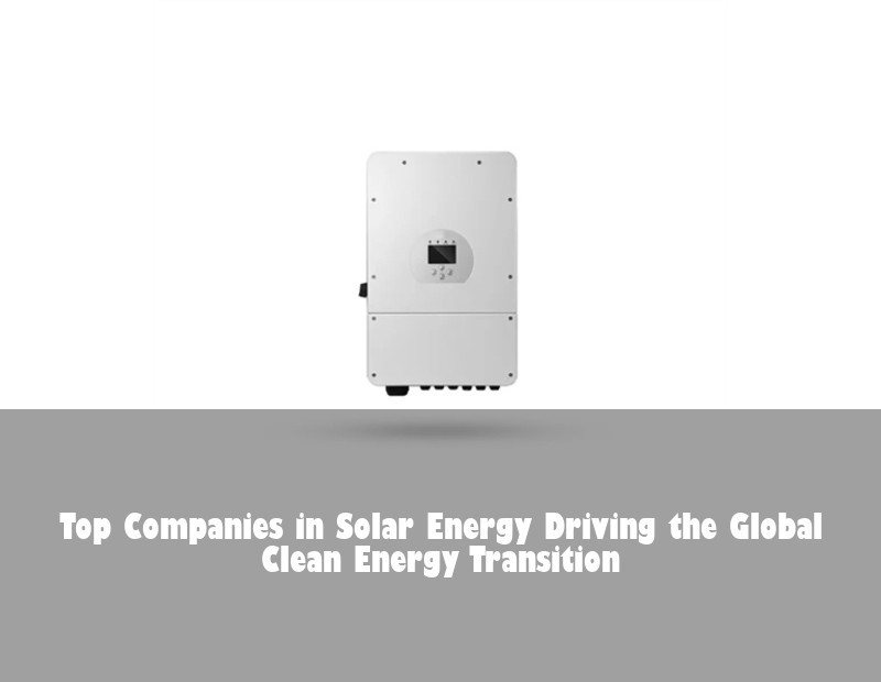 Top Companies in Solar Energy Driving the Global Clean Energy Transition