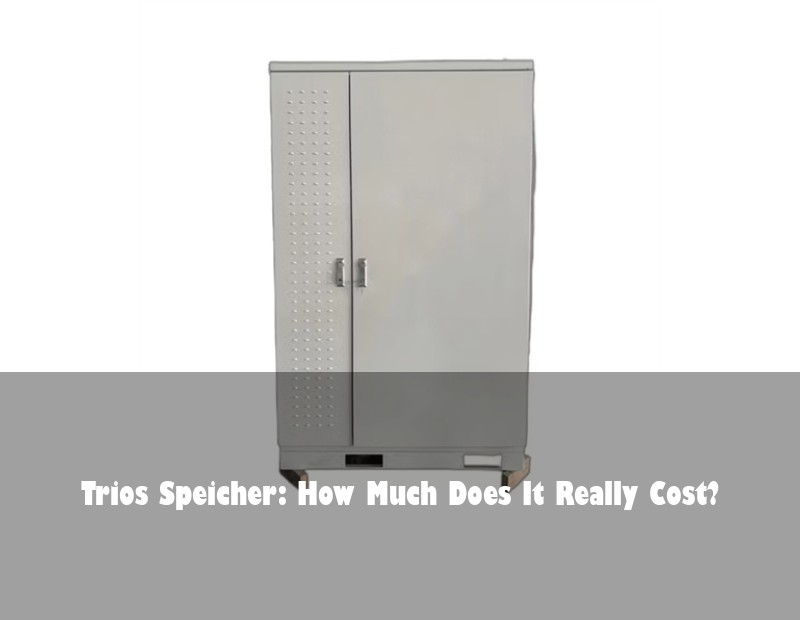Trios Speicher: How Much Does It Really Cost?