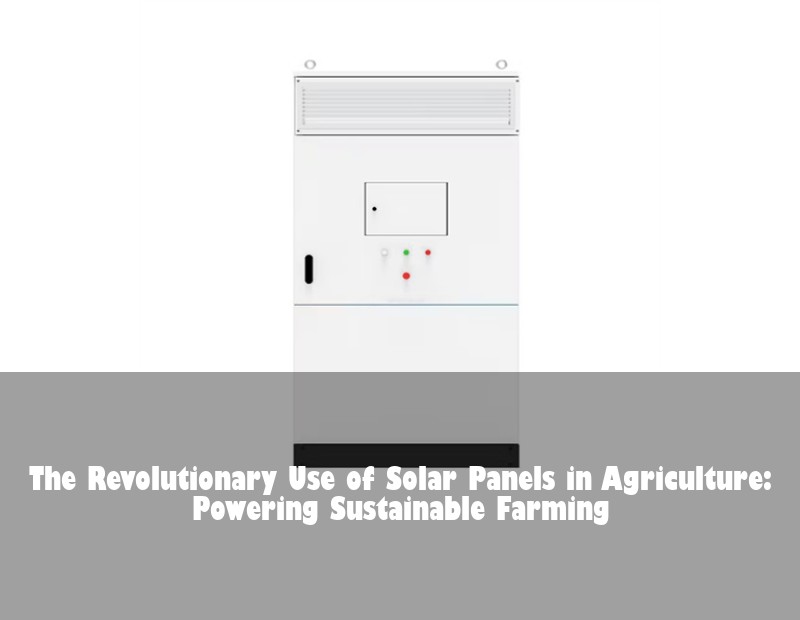 The Revolutionary Use of Solar Panels in Agriculture: Powering Sustainable Farming