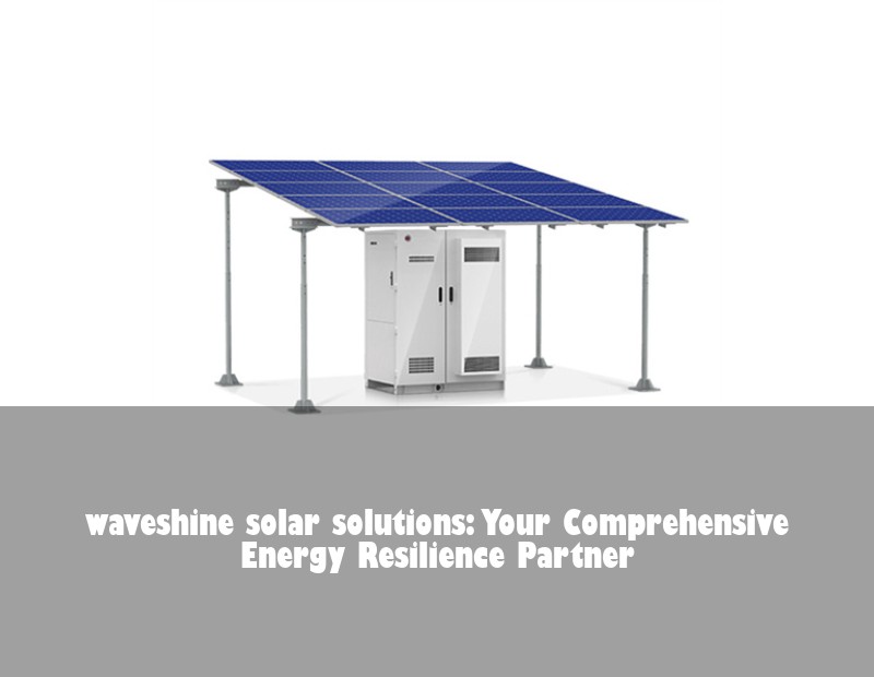 waveshine solar solutions: Your Comprehensive Energy Resilience Partner